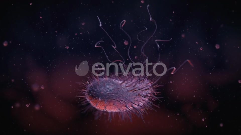 Bacteria Videohive 22848931 Motion Graphics Image 3