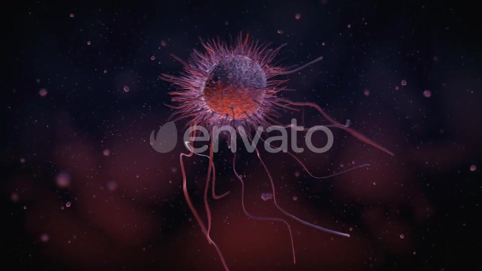 Bacteria Videohive 22848931 Motion Graphics Image 4