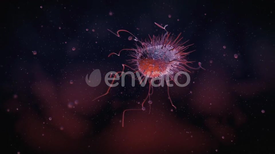 Bacteria Videohive 22848931 Motion Graphics Image 5