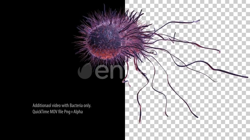 Bacteria Videohive 22848931 Motion Graphics Image 7