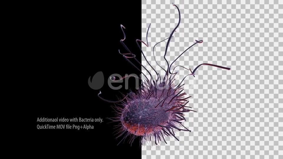 Bacteria Videohive 22848931 Motion Graphics Image 8