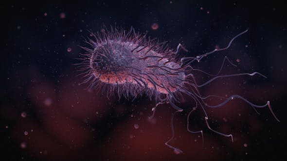 Bacteria - Download Videohive 22848931