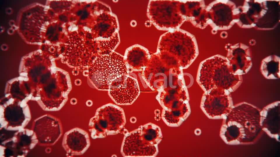 Bacteria Under Microscope Videohive 22344195 Motion Graphics Image 1
