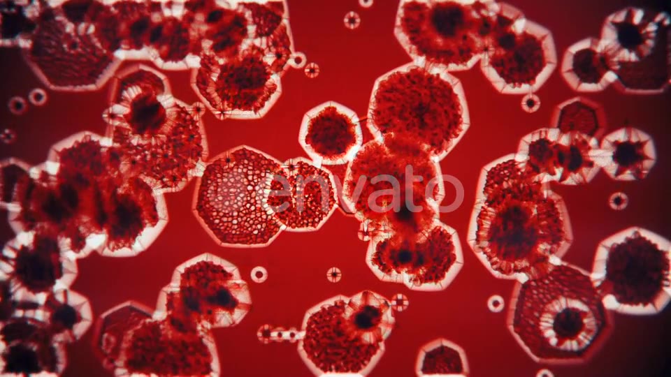 Bacteria Under Microscope Videohive 22344195 Motion Graphics Image 3