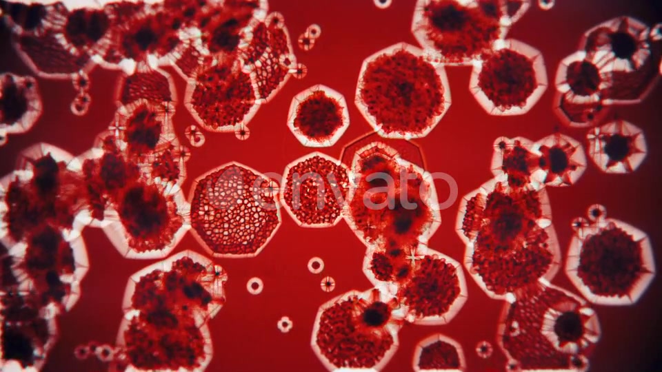 Bacteria Under Microscope Videohive 22344195 Motion Graphics Image 5