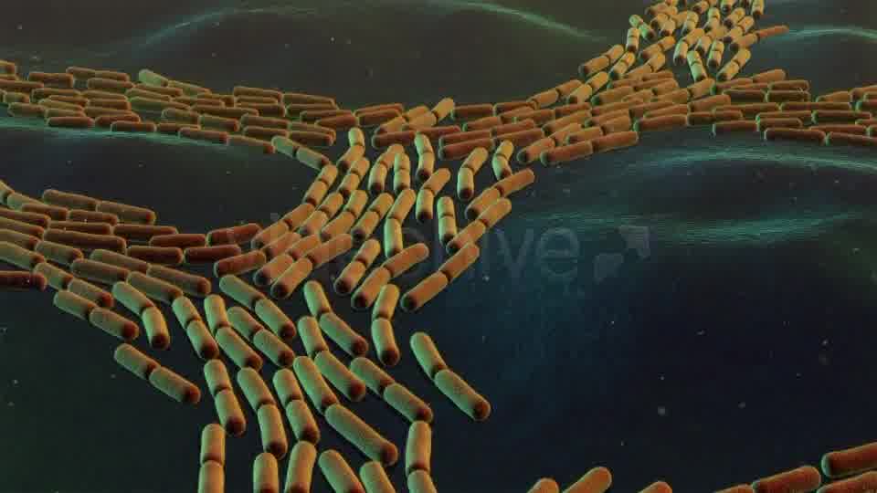 Bacterial Division Videohive 19206839 Motion Graphics Image 10