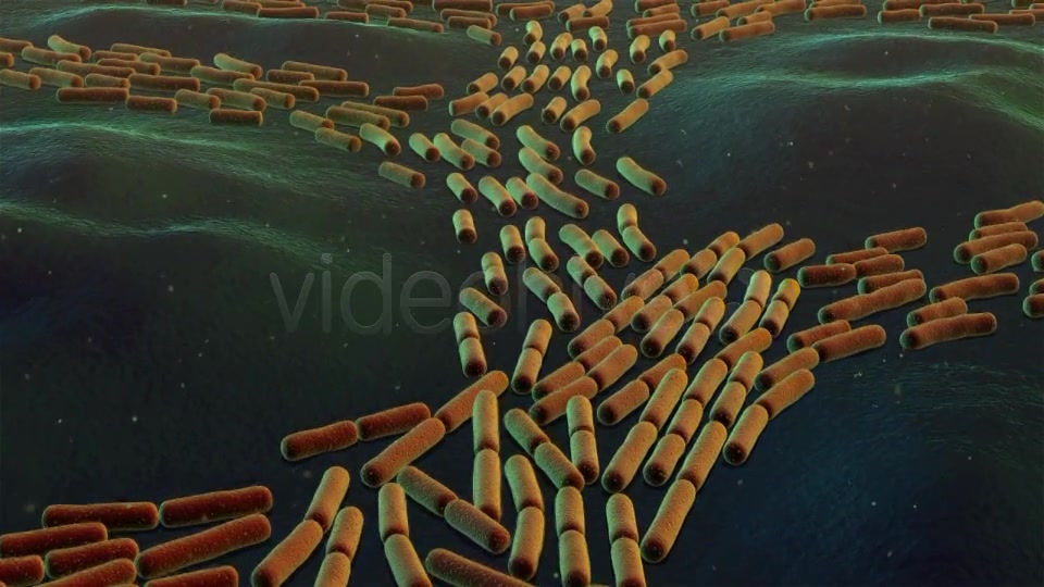 Bacterial Division Videohive 19206839 Motion Graphics Image 4