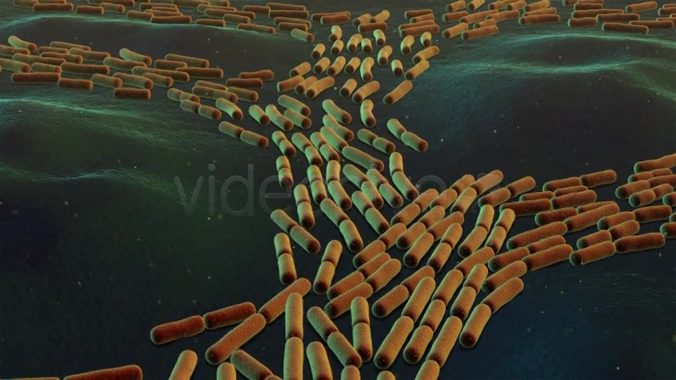 Bacterial Division Videohive 19206839 Motion Graphics Image 5