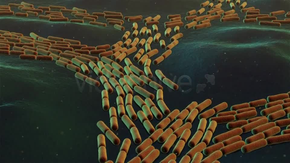 Bacterial Division Videohive 19206839 Motion Graphics Image 7