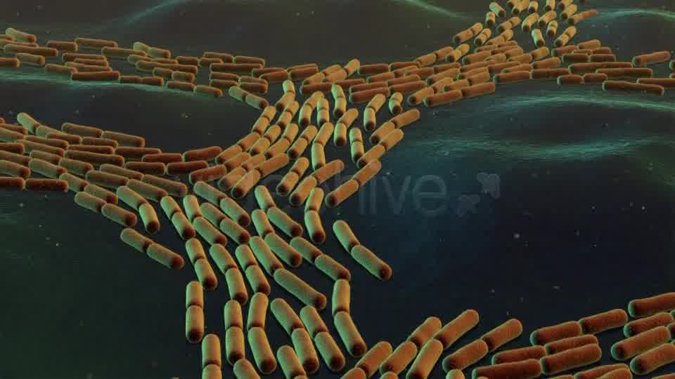 Bacterial Division Videohive 19206839 Motion Graphics Image 9