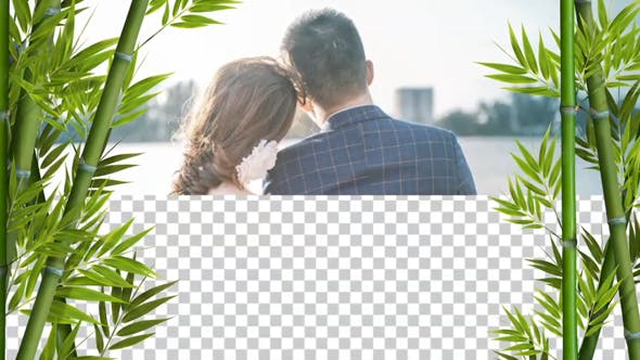 Bamboo 01 - Download 20520304 Videohive