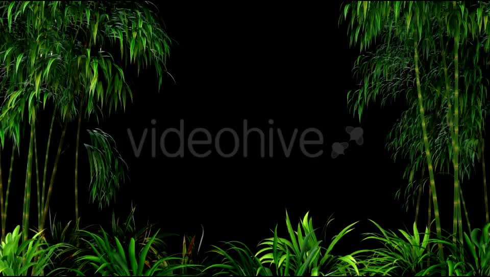 Bamboo Forest Overlay Videohive 19830869 Motion Graphics Image 1