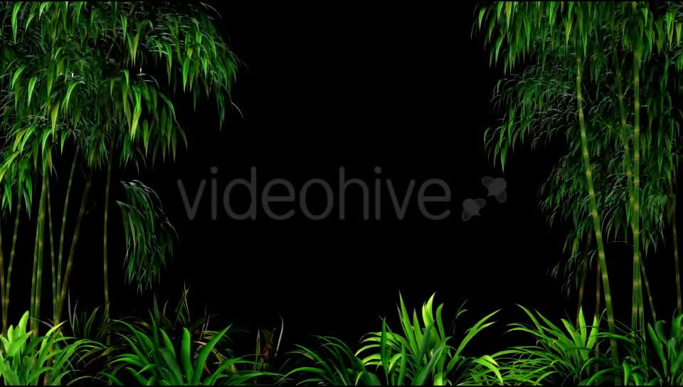 Bamboo Forest Overlay Videohive 19830869 Motion Graphics Image 2