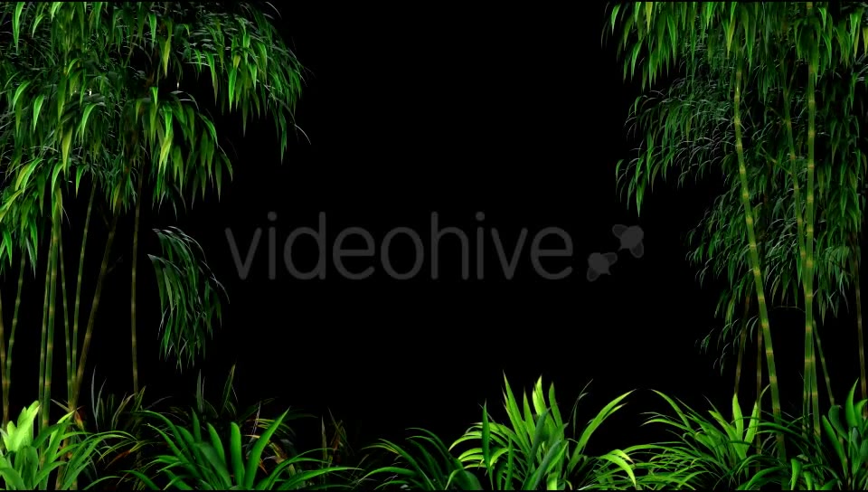 Bamboo Forest Overlay Videohive 19830869 Motion Graphics Image 3