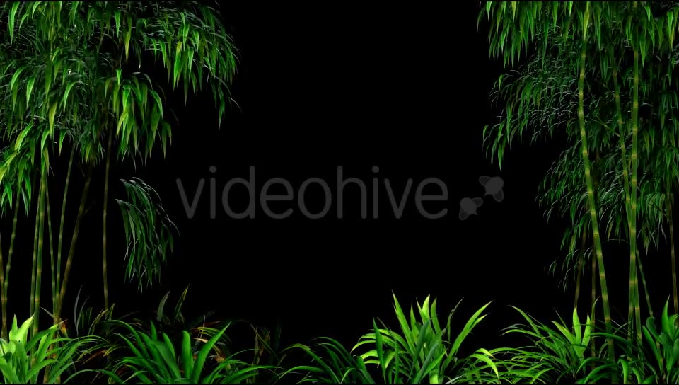 Bamboo Forest Overlay Videohive 19830869 Motion Graphics Image 4