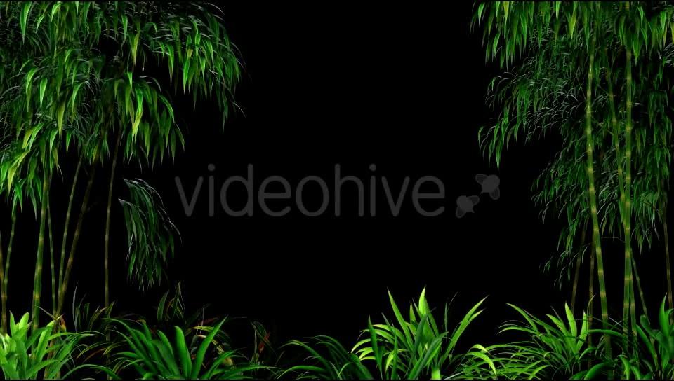 Bamboo Forest Overlay Videohive 19830869 Motion Graphics Image 5