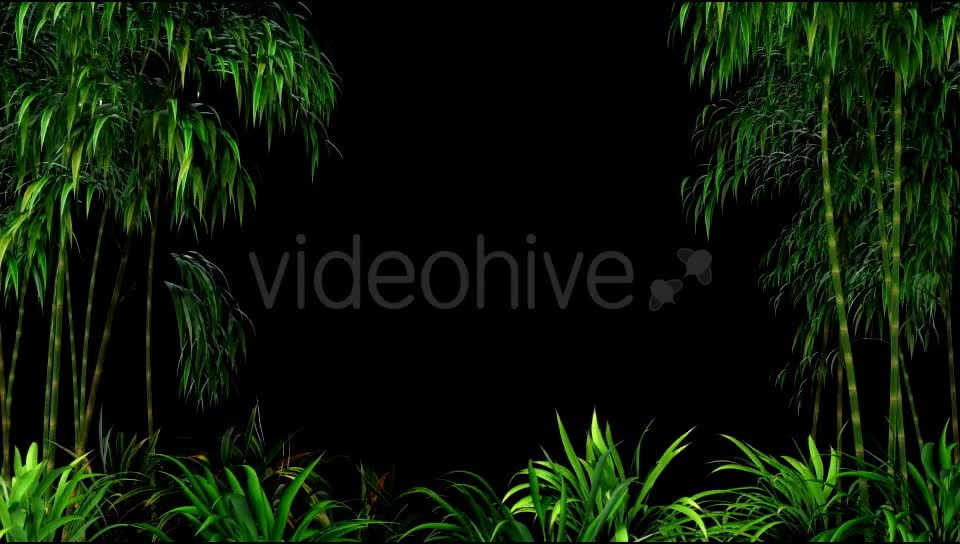 Bamboo Forest Overlay Videohive 19830869 Motion Graphics Image 6