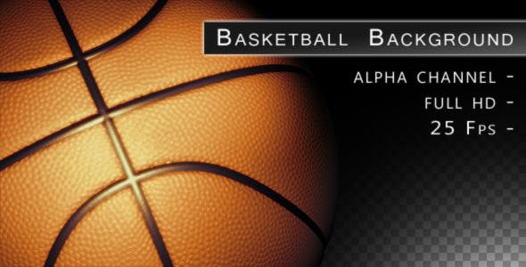 Basketball In The Dark - Download Videohive 6689360