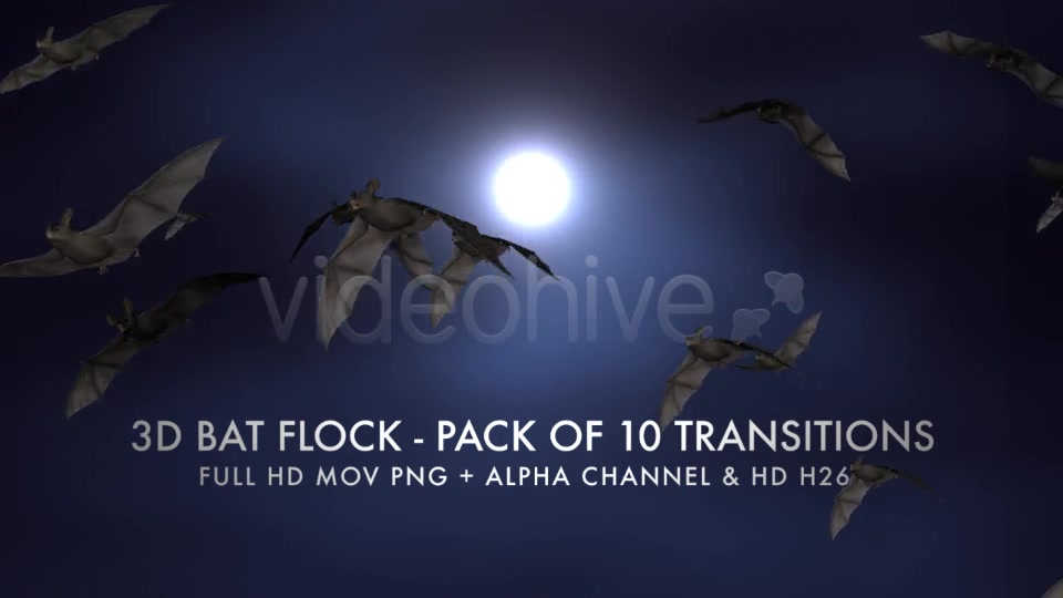Bat Flock Pack of 10 Transitions Videohive 5709602 Motion Graphics Image 11