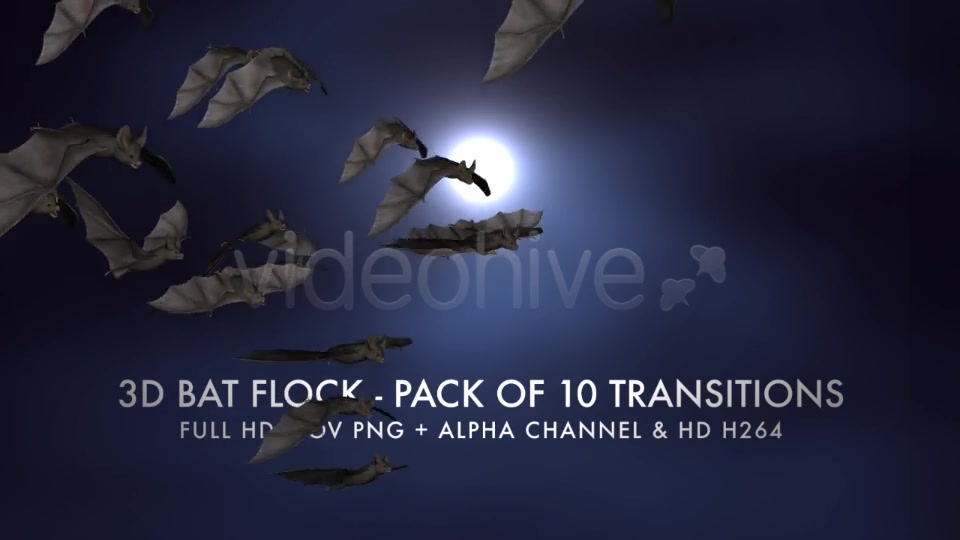 Bat Flock Pack of 10 Transitions Videohive 5709602 Motion Graphics Image 12