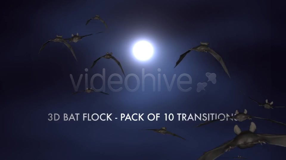 Bat Flock Pack of 10 Transitions Videohive 5709602 Motion Graphics Image 2