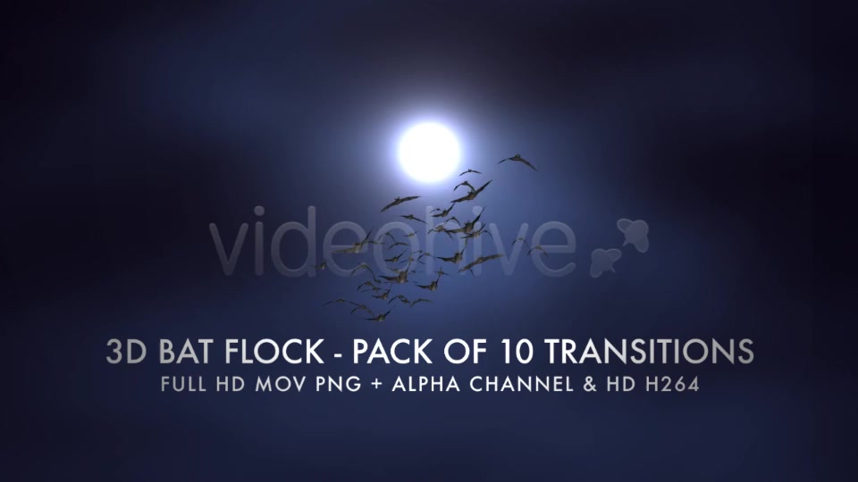 Bat Flock Pack of 10 Transitions Videohive 5709602 Motion Graphics Image 5