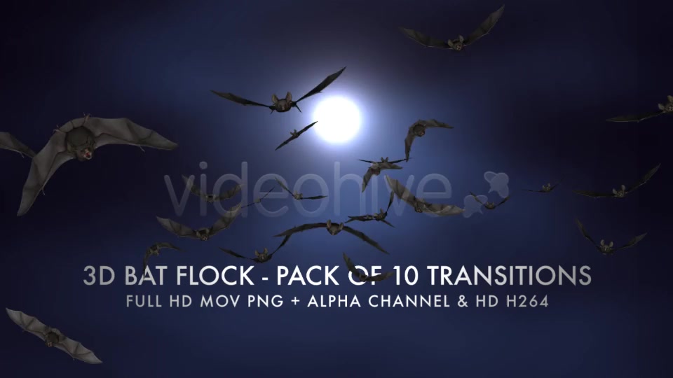 Bat Flock Pack of 10 Transitions Videohive 5709602 Motion Graphics Image 6