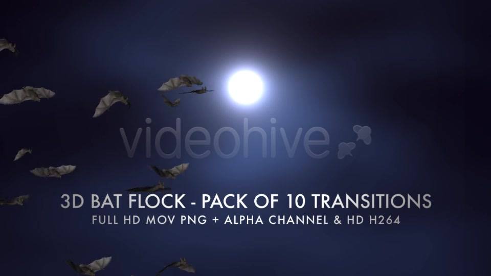 Bat Flock Pack of 10 Transitions Videohive 5709602 Motion Graphics Image 7