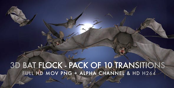 Bat Flock Pack of 10 Transitions - Download 5709602 Videohive