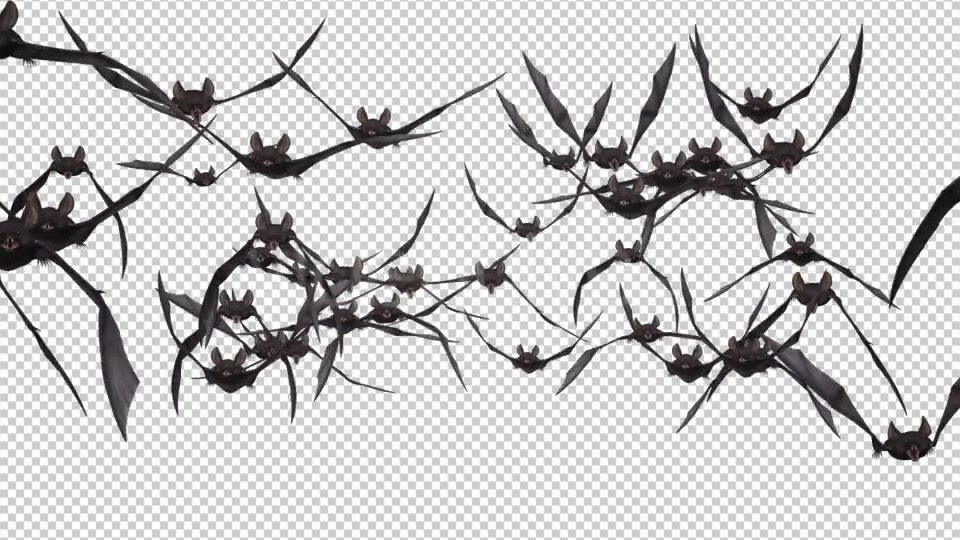 Bat Swarm Flying Loop Front Screen II 4K Videohive 18155195 Motion Graphics Image 10