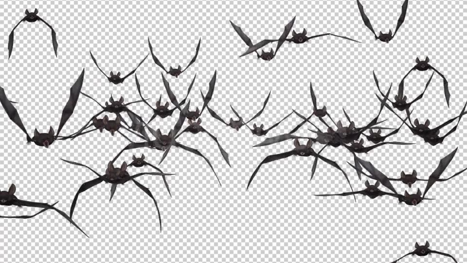 Bat Swarm Flying Loop Front Screen II 4K Videohive 18155195 Motion Graphics Image 11