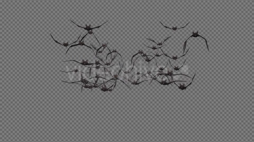 Bat Swarm Flying Loop Front Screen II 4K Videohive 18155195 Motion Graphics Image 2