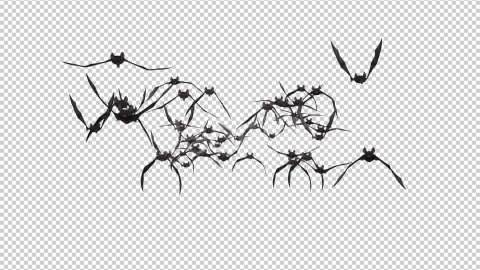 Bat Swarm Flying Loop Front Screen II 4K Videohive 18155195 Motion Graphics Image 3