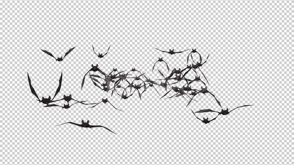 Bat Swarm Flying Loop Front Screen II 4K Videohive 18155195 Motion Graphics Image 4