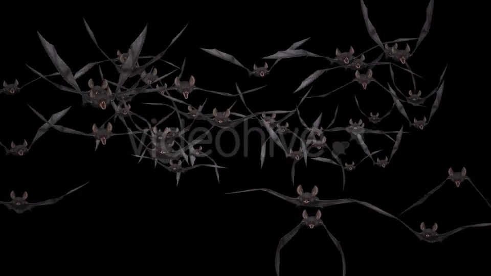 Bat Swarm Flying Loop Front Screen II 4K Videohive 18155195 Motion Graphics Image 7