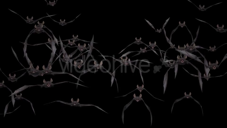 Bat Swarm Flying Loop Front Screen II 4K Videohive 18155195 Motion Graphics Image 8