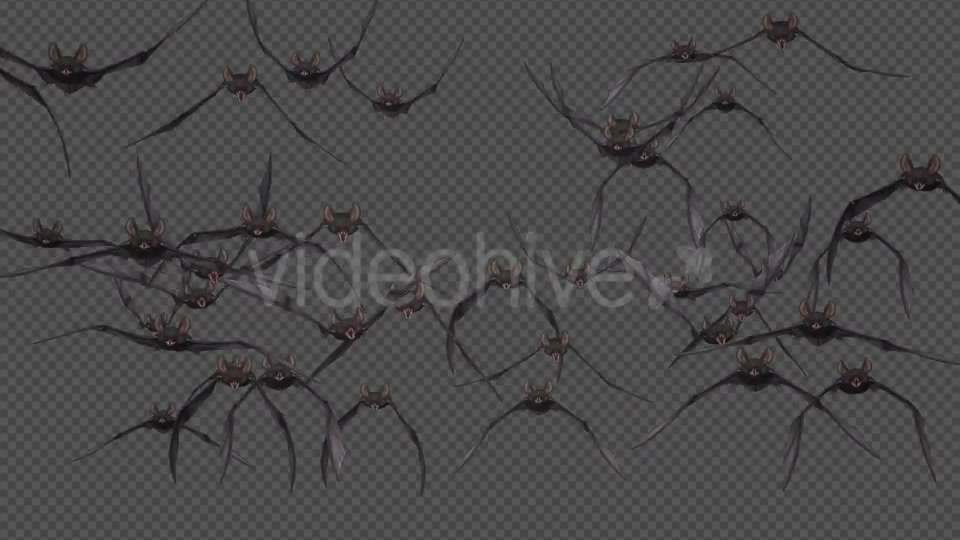 Bat Swarm Flying Loop Front Screen II 4K Videohive 18155195 Motion Graphics Image 9