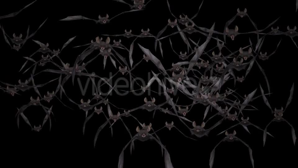 Bat Swarm Flying Loop Front Screen Videohive 18155285 Motion Graphics Image 1