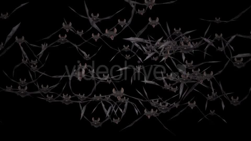 Bat Swarm Flying Loop Front Screen Videohive 18155285 Motion Graphics Image 11