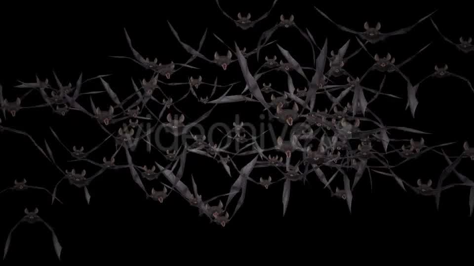 Bat Swarm Flying Loop Front Screen Videohive 18155285 Motion Graphics Image 12