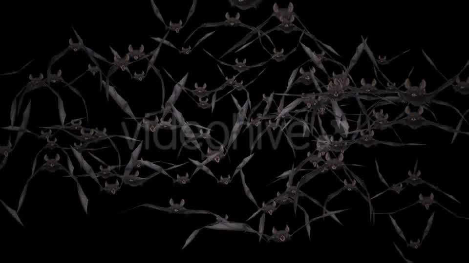 Bat Swarm Flying Loop Front Screen Videohive 18155285 Motion Graphics Image 13