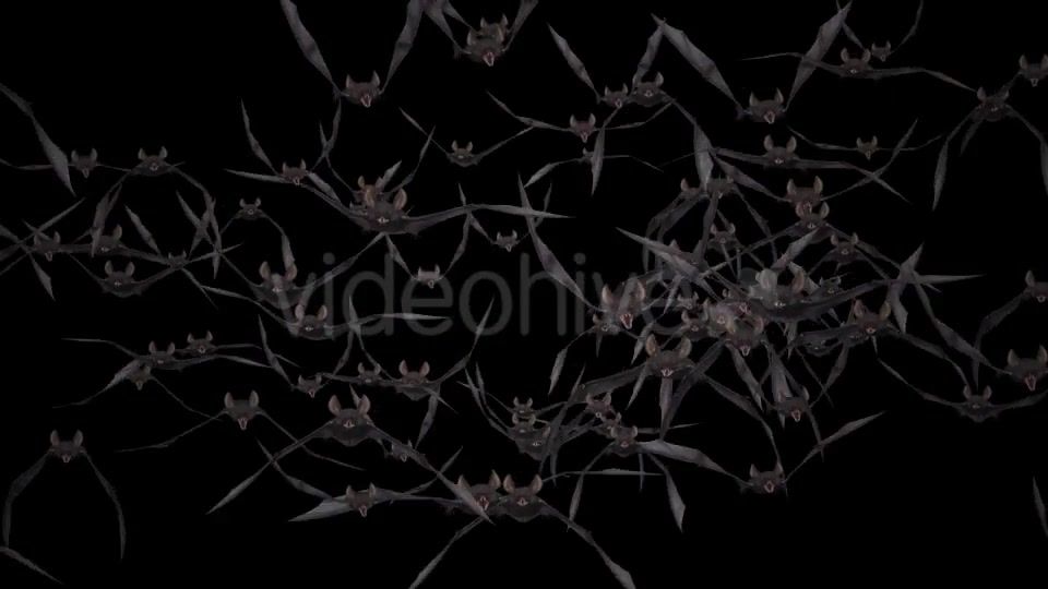 Bat Swarm Flying Loop Front Screen Videohive 18155285 Motion Graphics Image 3