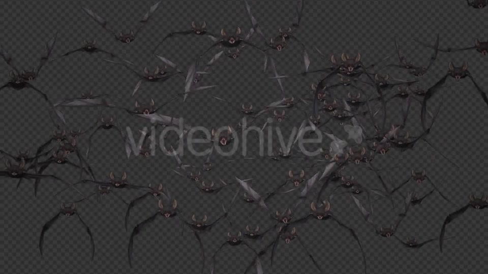 Bat Swarm Flying Loop Front Screen Videohive 18155285 Motion Graphics Image 4