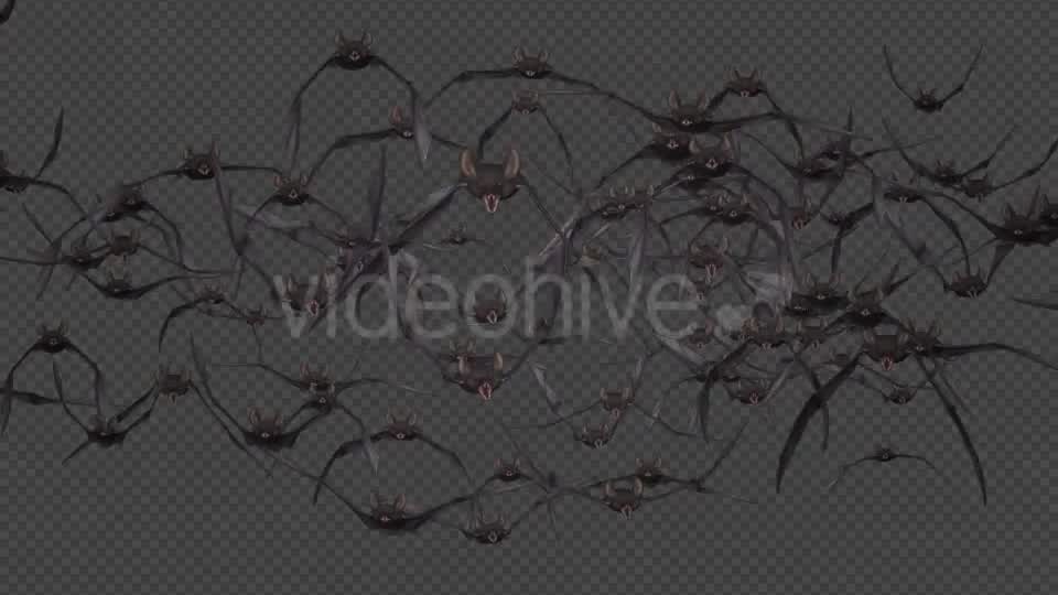 Bat Swarm Flying Loop Front Screen Videohive 18155285 Motion Graphics Image 9