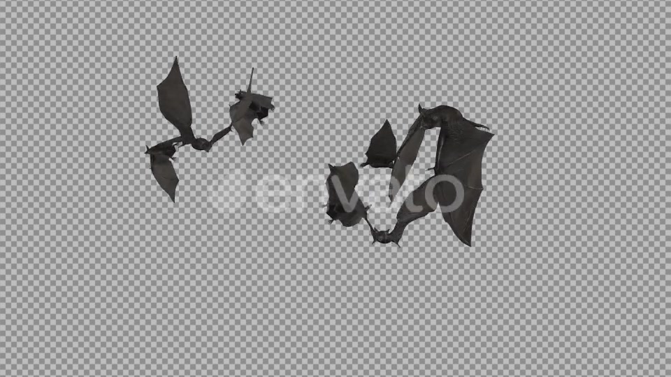 Bat Swarm Transition Videohive 22177245 Motion Graphics Image 4
