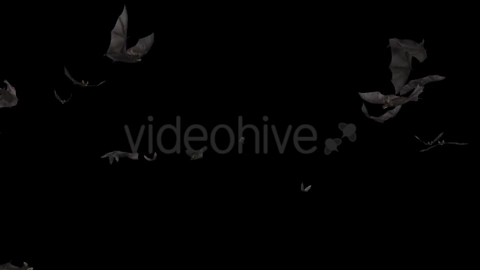 Bats Swarm Flying Around Loop 4K Videohive 20771598 Motion Graphics Image 2