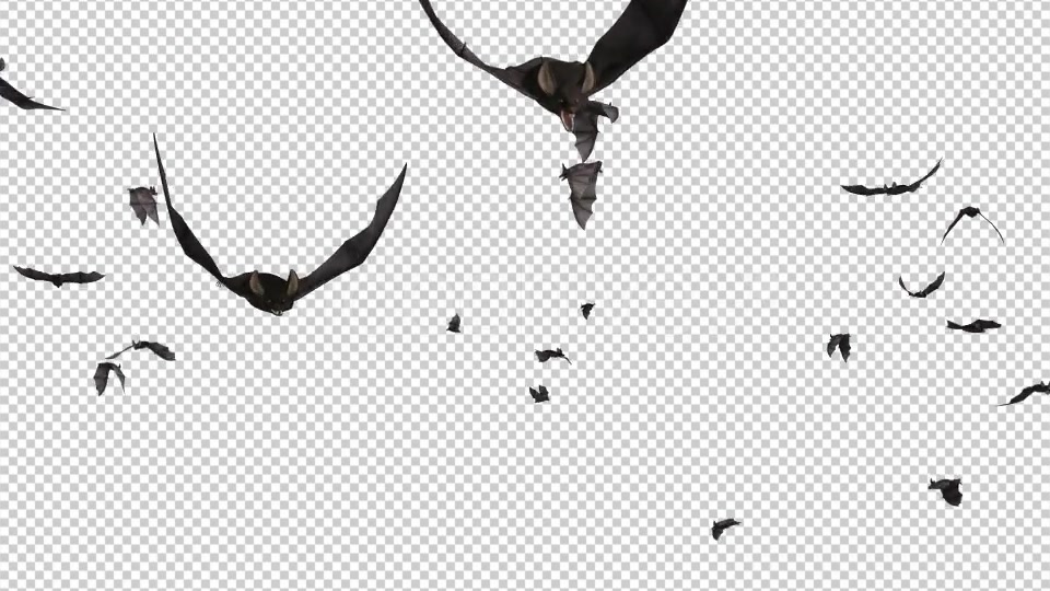 Bats Swarm Flying Around Loop 4K Videohive 20771598 Motion Graphics Image 3