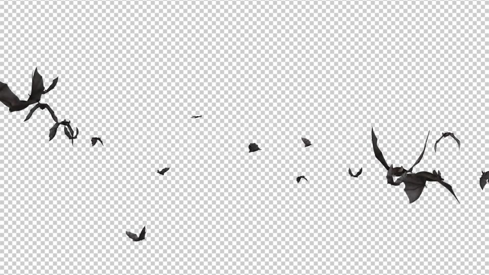 Bats Swarm Flying Around Loop 4K Videohive 20771598 Motion Graphics Image 4