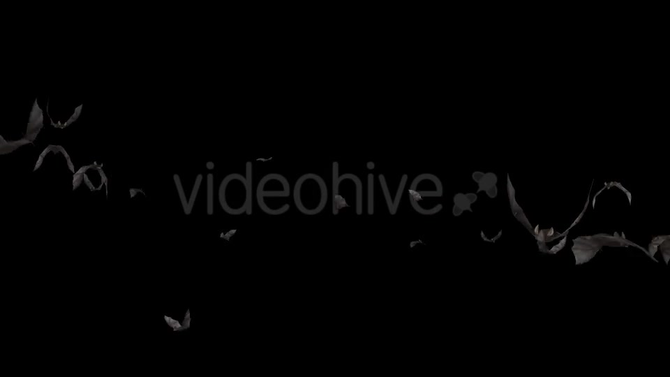 Bats Swarm Flying Around Loop 4K Videohive 20771598 Motion Graphics Image 9