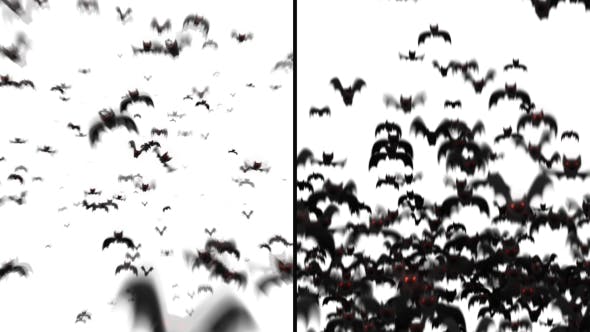 Bats Transitions 2 Styles - Download 20807016 Videohive